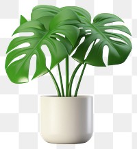 PNG Plant leaf vase  