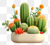 PNG Cactus plant white background houseplant. 