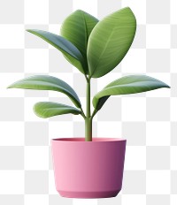 PNG Plant houseplant leaf freshness. 