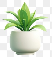 PNG Plant houseplant leaf vase. 