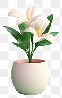 PNG Lily flower plant vase. 