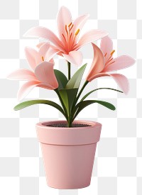 PNG Lily flower plant inflorescence. AI generated Image by rawpixel.
