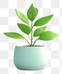 PNG Plant leaf houseplant flowerpot. 