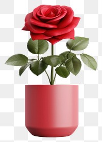 PNG Plant rose flower vase. 