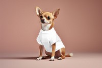 Dog t-shirt png transparent mockup