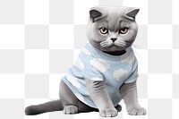 Cat png, wearing t-shirt, transparent background