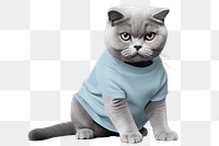 Cat png, wearing t-shirt, transparent background