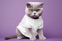 Cat t-shirt png transparent mockup