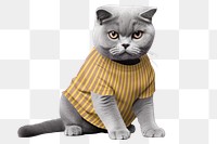 Cat png, wearing t-shirt, transparent background