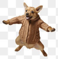 PNG Dog sweater representation carnivora. 