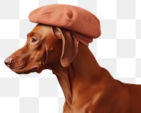 PNG Dog pet portrait clothing. 