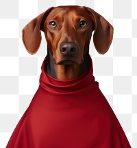 PNG  Dog pet portrait fashion. AI generated Image by rawpixel.