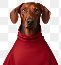 PNG Dog pet portrait fashion. 