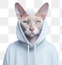 PNG Cat sweatshirt portrait animal. AI generated Image by rawpixel.