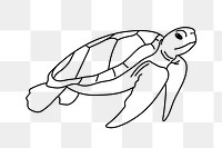PNG turtle marine life doodle illustration, transparent background