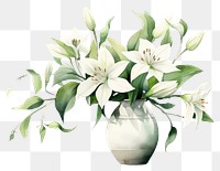 PNG Flower plant freshness floristry. 