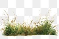 Outdoors nature plant grass. AI generated Image by rawpixel.