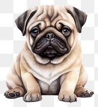 PNG Animal mammal pug dog. AI generated Image by rawpixel.