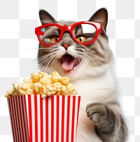 PNG Glasses popcorn mammal animal. 