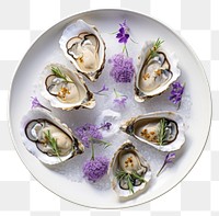 PNG Oyster plate seafood invertebrate. AI generated Image by rawpixel.