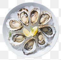 PNG Oyster plate seafood clam. 