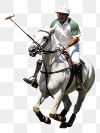 PNG Horse polo recreation animal. 