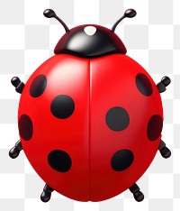 PNG Ladybug animal spotted beetle. AI generated Image by rawpixel.