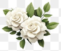 PNG Blooming white roses jewelry flower plant. 