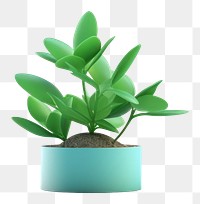 PNG Plant leaf  houseplant. 