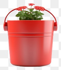 PNG Bucket plant white background houseplant. AI generated Image by rawpixel.