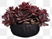 PNG Plant leaf vase red. AI generated Image by rawpixel.
