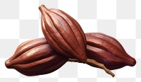 PNG Plant cocoa food seed. AI generated Image by rawpixel.
