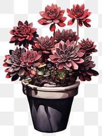 PNG Flower plant vase red. AI generated Image by rawpixel.