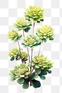 PNG Flower plant green leaf. AI generated Image by rawpixel.