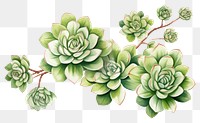 PNG Pattern drawing sketch plant. AI generated Image by rawpixel.