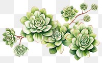 PNG Pattern drawing sketch plant. 