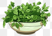 PNG Parsley plant ingredient vegetable. 