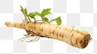 PNG Vegetable radish plant food. 