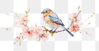 PNG Bird blossom flower animal