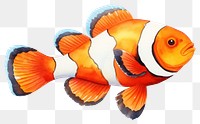 PNG Goldfish animal pomacentridae pomacanthidae. AI generated Image by rawpixel.