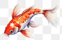 PNG Fish koi goldfish animal. AI generated Image by rawpixel.