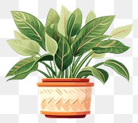 PNG Plant leaf houseplant flowerpot. AI generated Image by rawpixel.