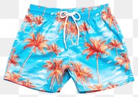 PNG Swimming trunks white background underpants flip-flops. 