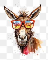 PNG Wear glasses donkey mammal animal  