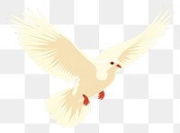 PNG White pigeon flying wildlife animal bird. 