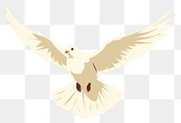 PNG White pigeon flying wildlife animal bird. 