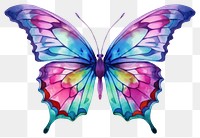 PNG Butterfly animal insect white background. 