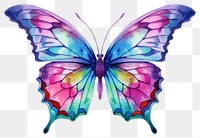 PNG Butterfly animal insect  