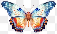 PNG Butterfly animal insect  