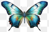 PNG Butterfly insect animal  